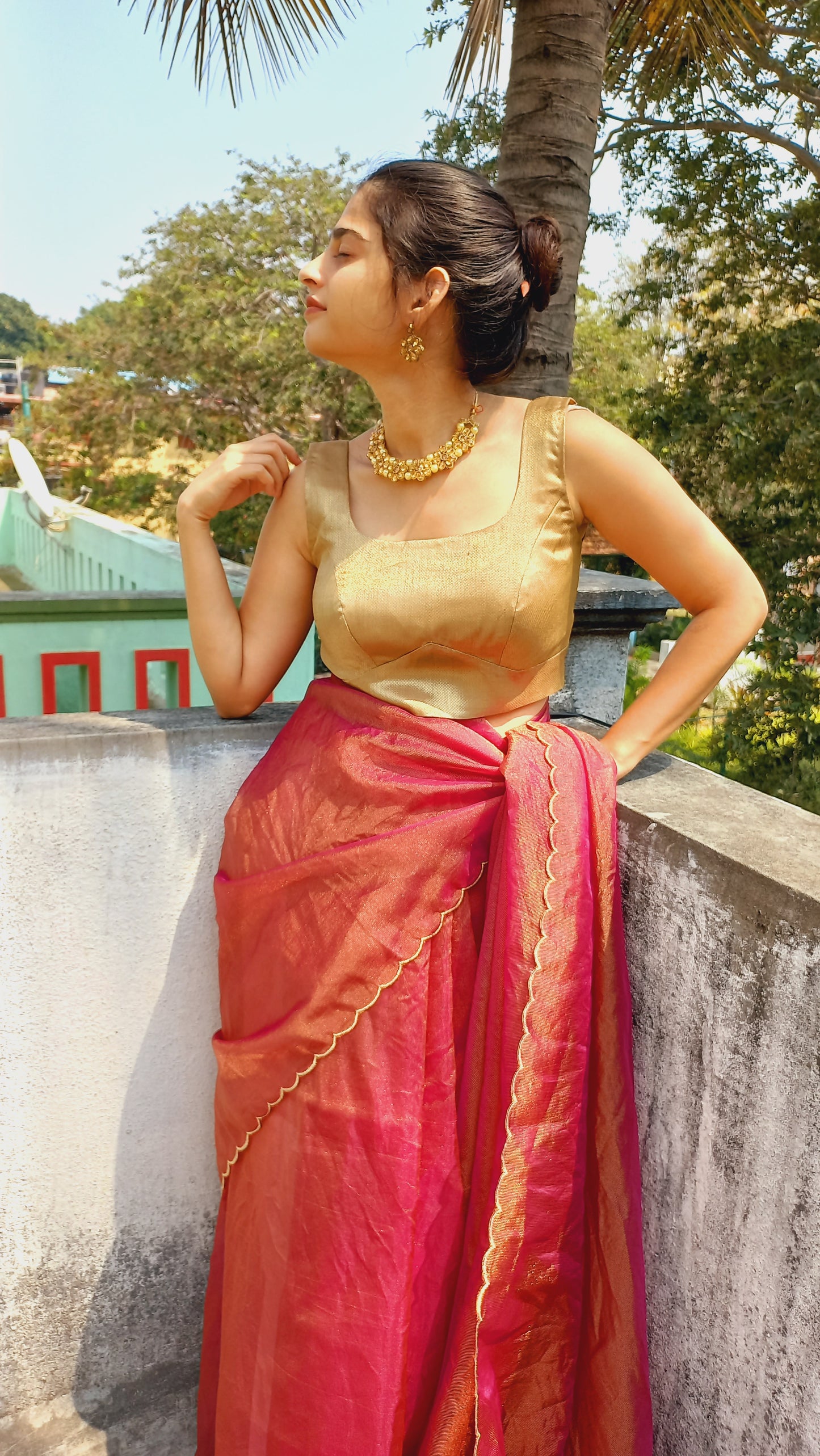 Semi Tissue Organza Saree