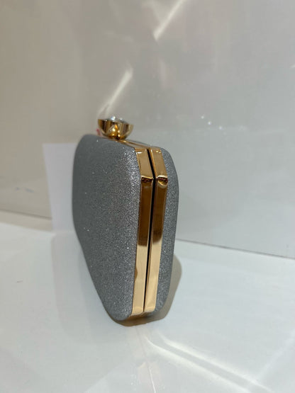 Sliver Shimmer Clutch
