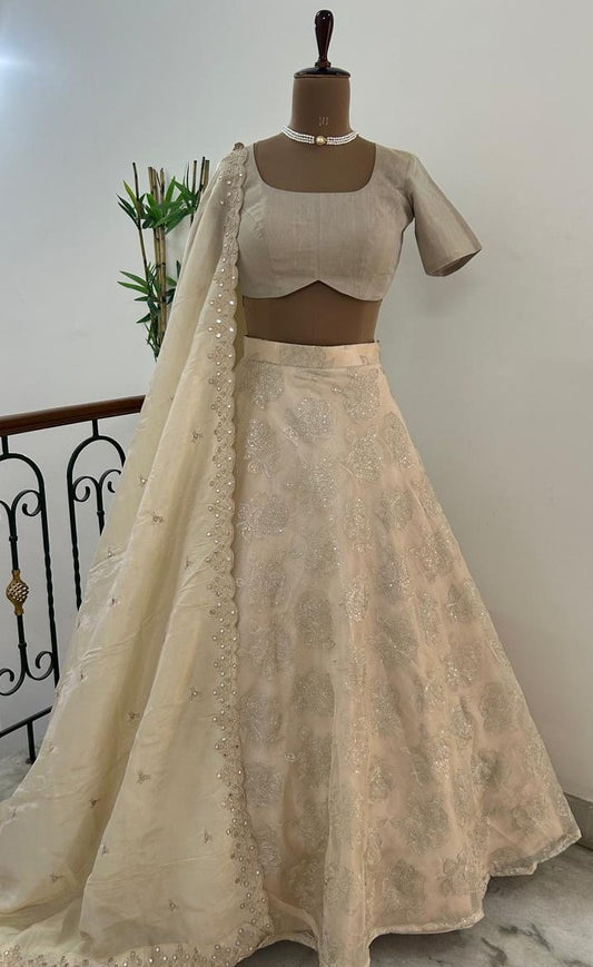Peach self embroidered Organza Lehenga - Made on Pre Order